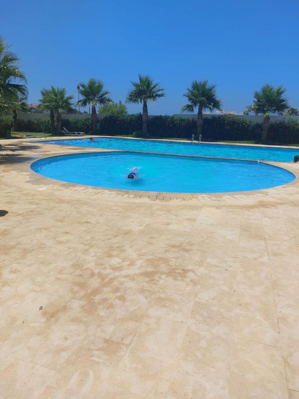 Appartement 1 Chambres Vue Pepiniere - Marina Golf أصيلة المظهر الخارجي الصورة